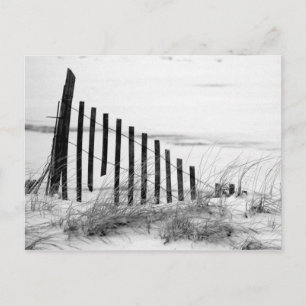 Dune Fence i Snö Vykort