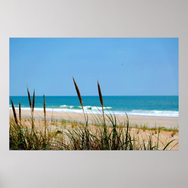 Dune Grass & Atlantic Ocean Poster (Framsidan)