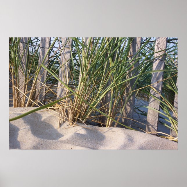 Dune Grass Poster (Framsidan)