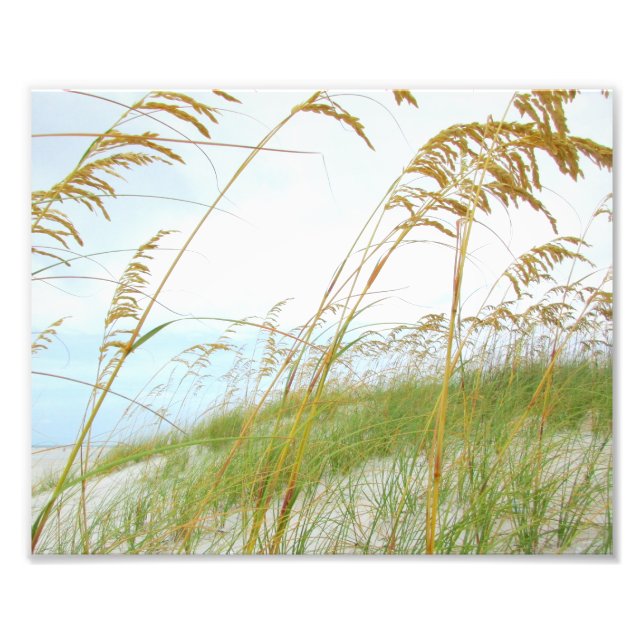 Dune Grass White Sand Beach Fototryck (Framsidan)