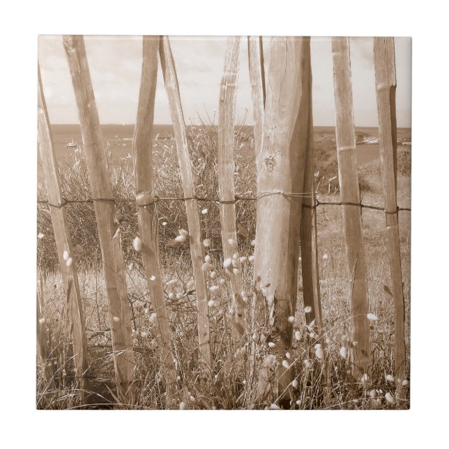 dune kakelplatta (Framsidan)