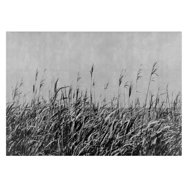 Dune Triptych III (Framsidan)