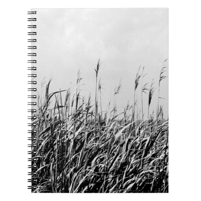 Dune Triptych III Anteckningsbok (Framsidan)