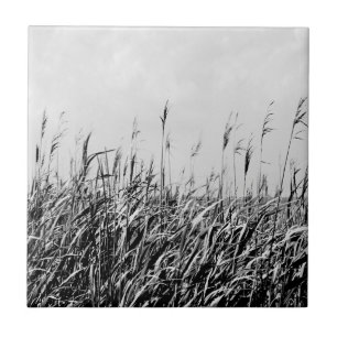 Dune Triptych III Kakelplatta