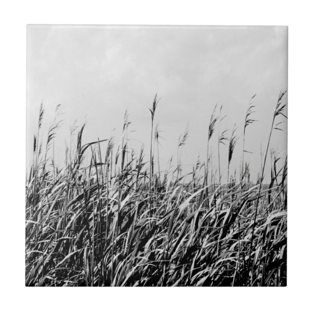 Dune Triptych III Kakelplatta (Framsidan)