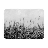 Dune Triptych III