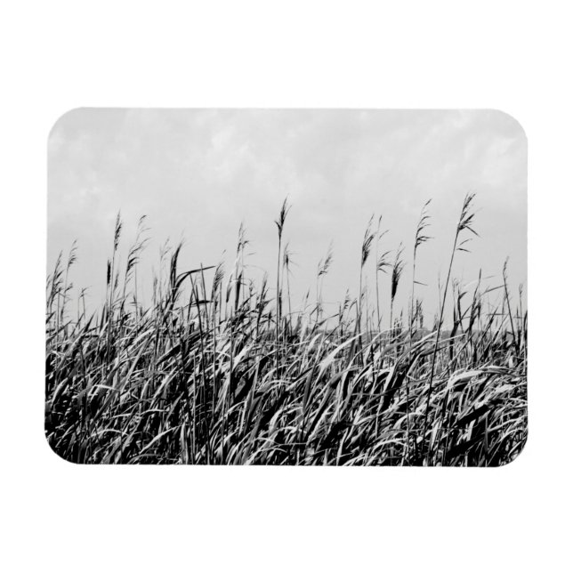 Dune Triptych III Magnet (Horisontell)