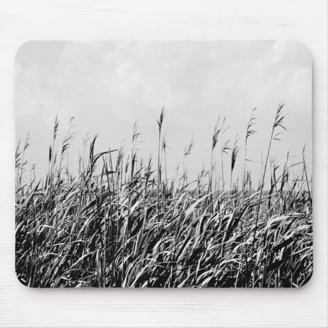 Dune Triptych III Musmatta (Framsidan)