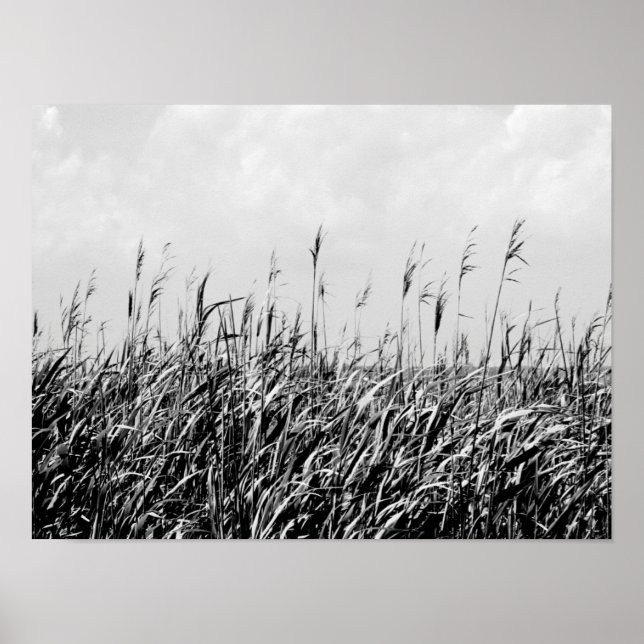 Dune Triptych III Poster (Framsidan)