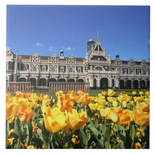 Dunedin järnvägsstation kakelplatta