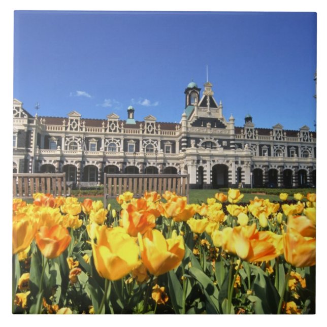Dunedin järnvägsstation kakelplatta (Framsidan)