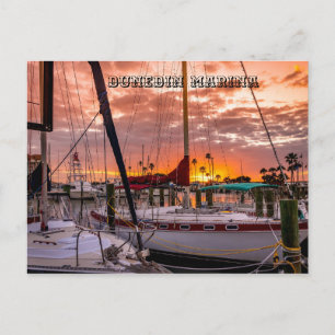 Dunedin Marina Sunset Florida Vykort