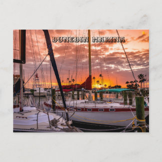 Dunedin Marina Sunset Florida Vykort