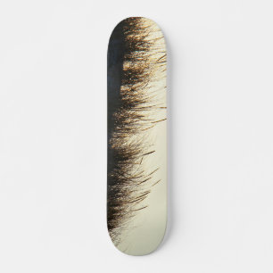 Dunes at Sundown IBSP NJ Skateboard