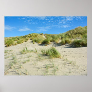 Dunes Magic - - Acrylic Print Poster