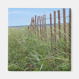 Dunes of Cape Cod Magnet