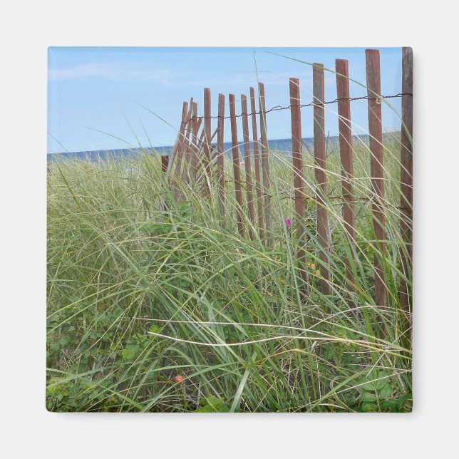 Dunes of Cape Cod Magnet (Framsidan)