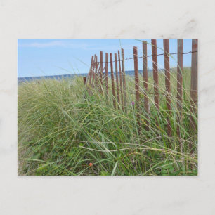 Dunes of Cape Cod Vykort