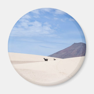 Dunes of Corralejo, Fuerteventura, Kanarieöarna Magnet