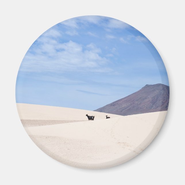 Dunes of Corralejo, Fuerteventura, Kanarieöarna Magnet (Framsidan)