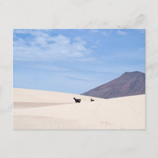 Dunes of Corralejo, Fuerteventura, Kanarieöarna Vykort