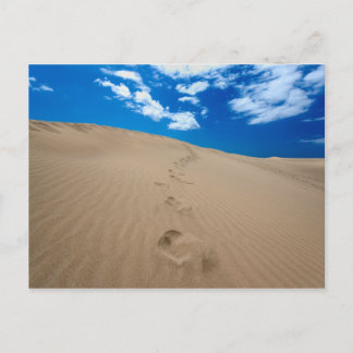 Dunes of Gran Canaria Vykort