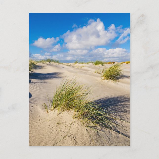 Dunes på Nordsjöön Amrum Vykort (Framsida)
