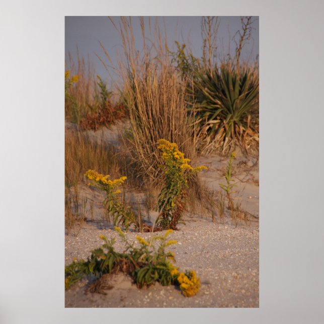 Dunes Poster (Framsidan)