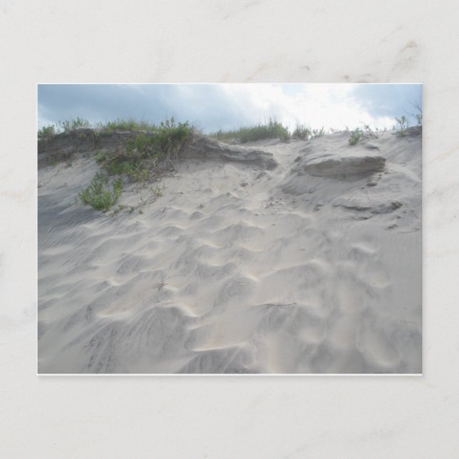 Dunes vid Oregon Inlet Vykort (Framsida)