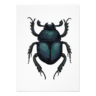 Dung beetle fototryck