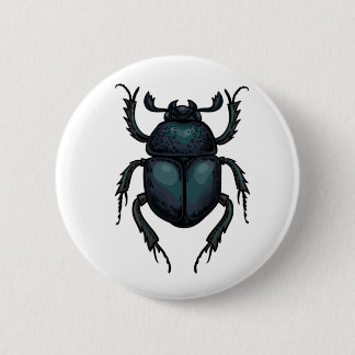 Dung beetle knapp