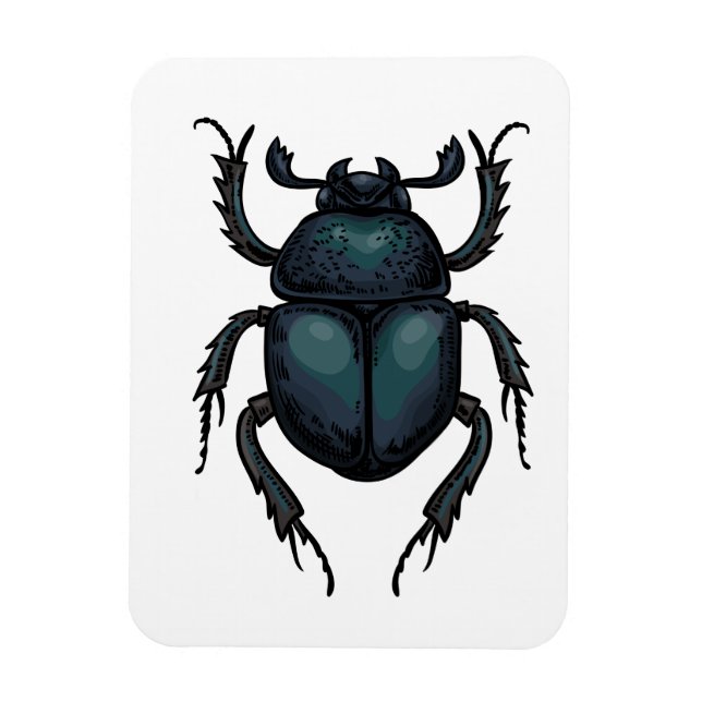Dung beetle magnet (Vertikal)