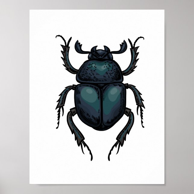 Dung beetle poster (Framsidan)