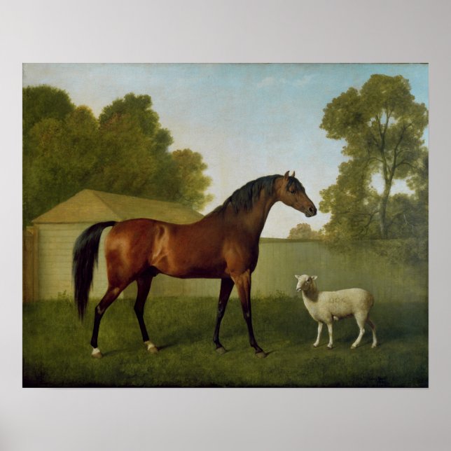 Dungannon, egendom vid överste O'Kelly Poster (Framsidan)