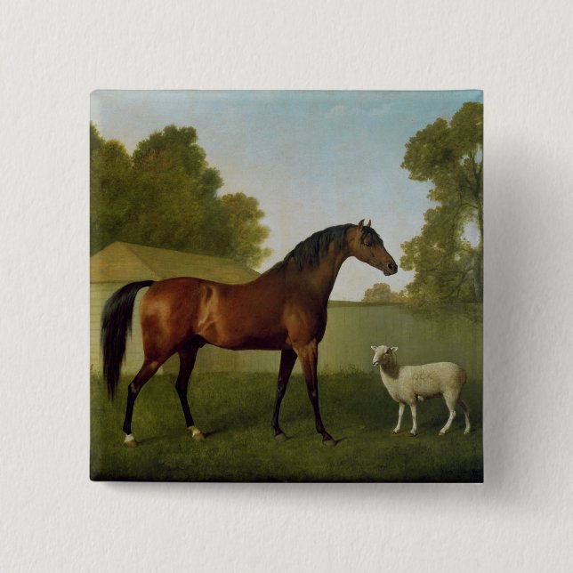 Dungannon egendomen av översten O'Kelly Knapp (Framsida)