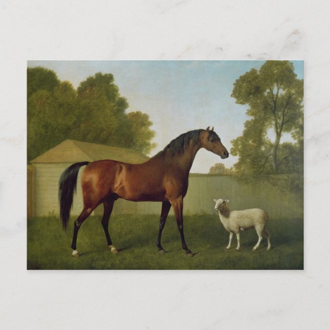 Dungannon egendomen av översten O'Kelly Vykort (Framsida)