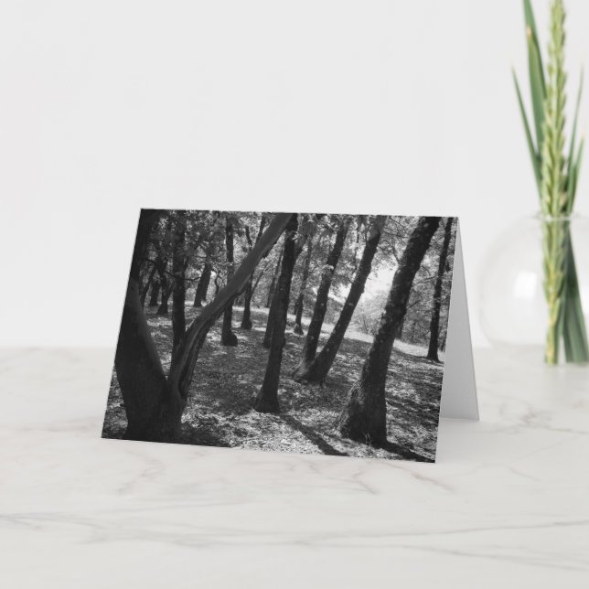 Dunge på den Hopland stationen, 1966 Kort (Framsida)