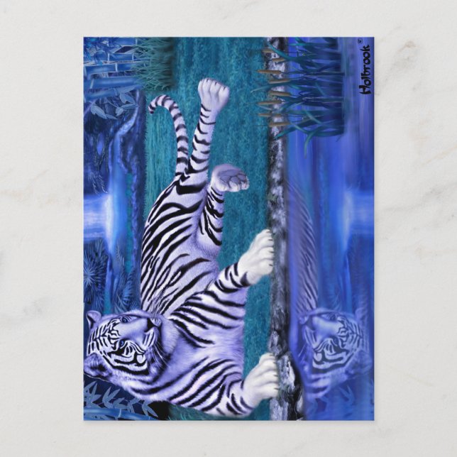 DUNGELTIGER.JPEG VYKORT (Framsida)