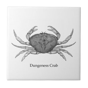 Dungeness Crab Logotyp (konst) Kakelplatta