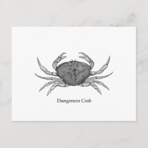 Dungeness Crab Logotyp (konst) Vykort