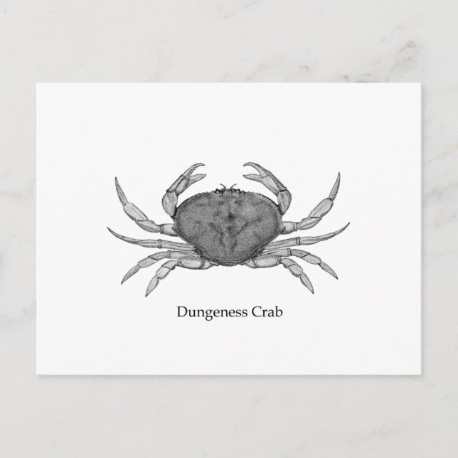 Dungeness Crab Logotyp (konst) Vykort (Framsida)