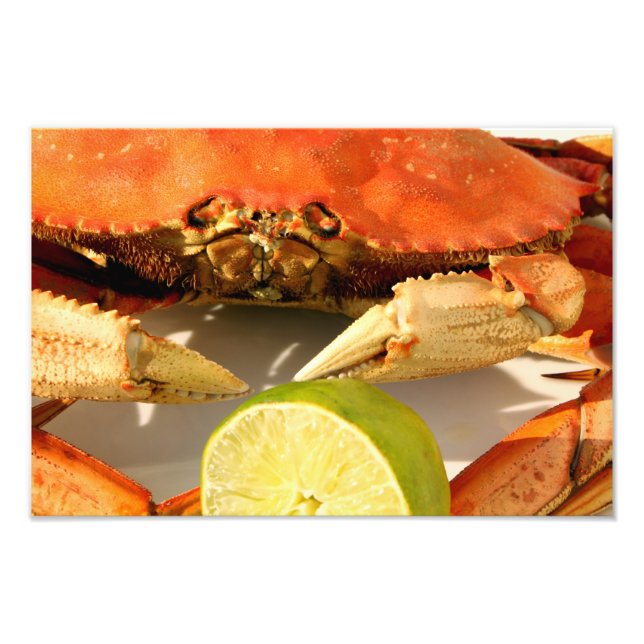 Dungeness Crab Photo Print Fototryck (Framsidan)