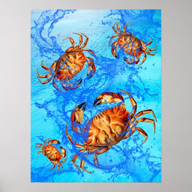 Dungeness Crabs Poster (Framsidan)