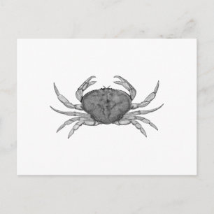 Dungeness-krabba logotyp (linjeteckning) vykort