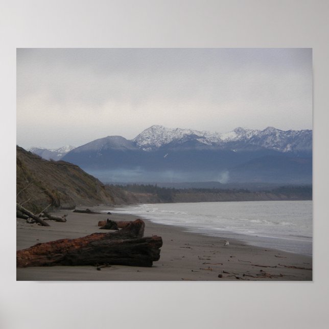 Dungeness Spit Poster (Framsidan)