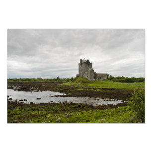 Dunguaire castle, Irlands fototryck