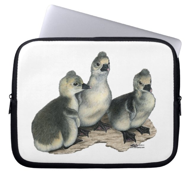 Duniga Toulouse-gässlingar Laptop Sleeve (Framsidan)