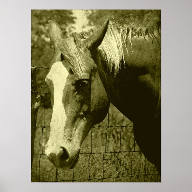 Dunit i Sepia Tint Poster (Framsidan)