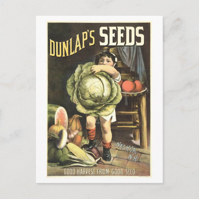 Dunlap Vintage Vegetable Seed Advertisement Vykort (Framsida)