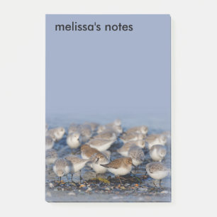 Dunlins Sanderlings Sandpipers i Beach Post-it Block